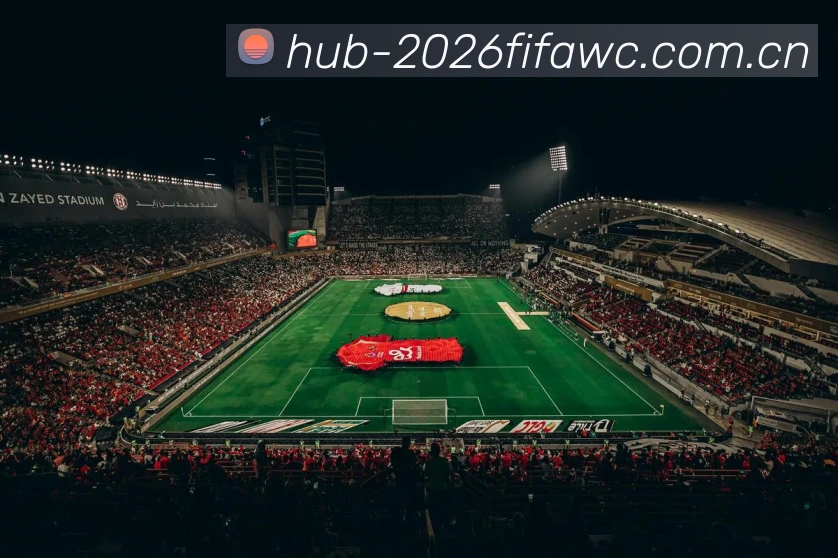 FIFA官方授权证书