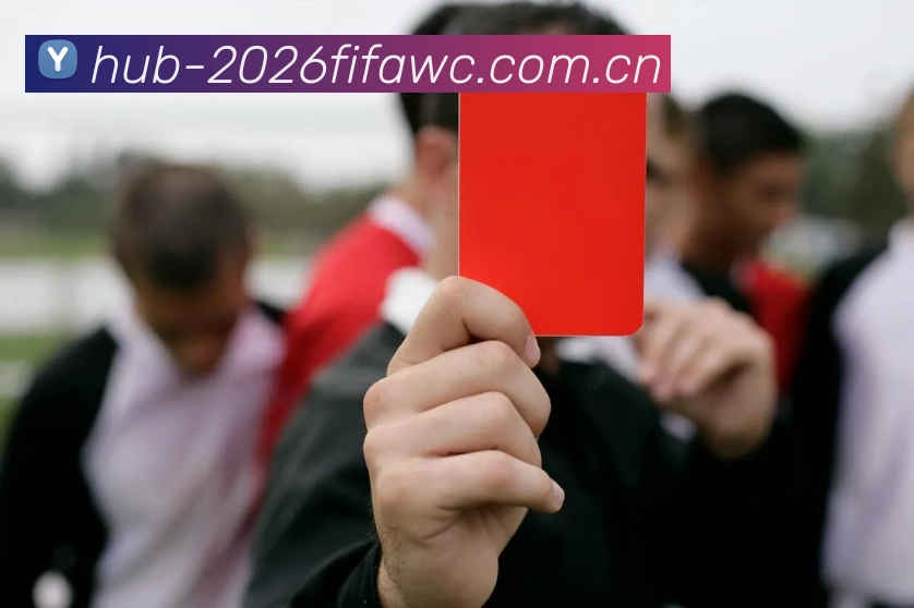 2026世界杯官方数据应用界面