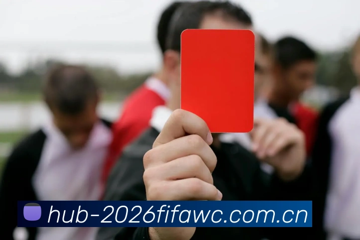 FIFA 官方数据授权认证